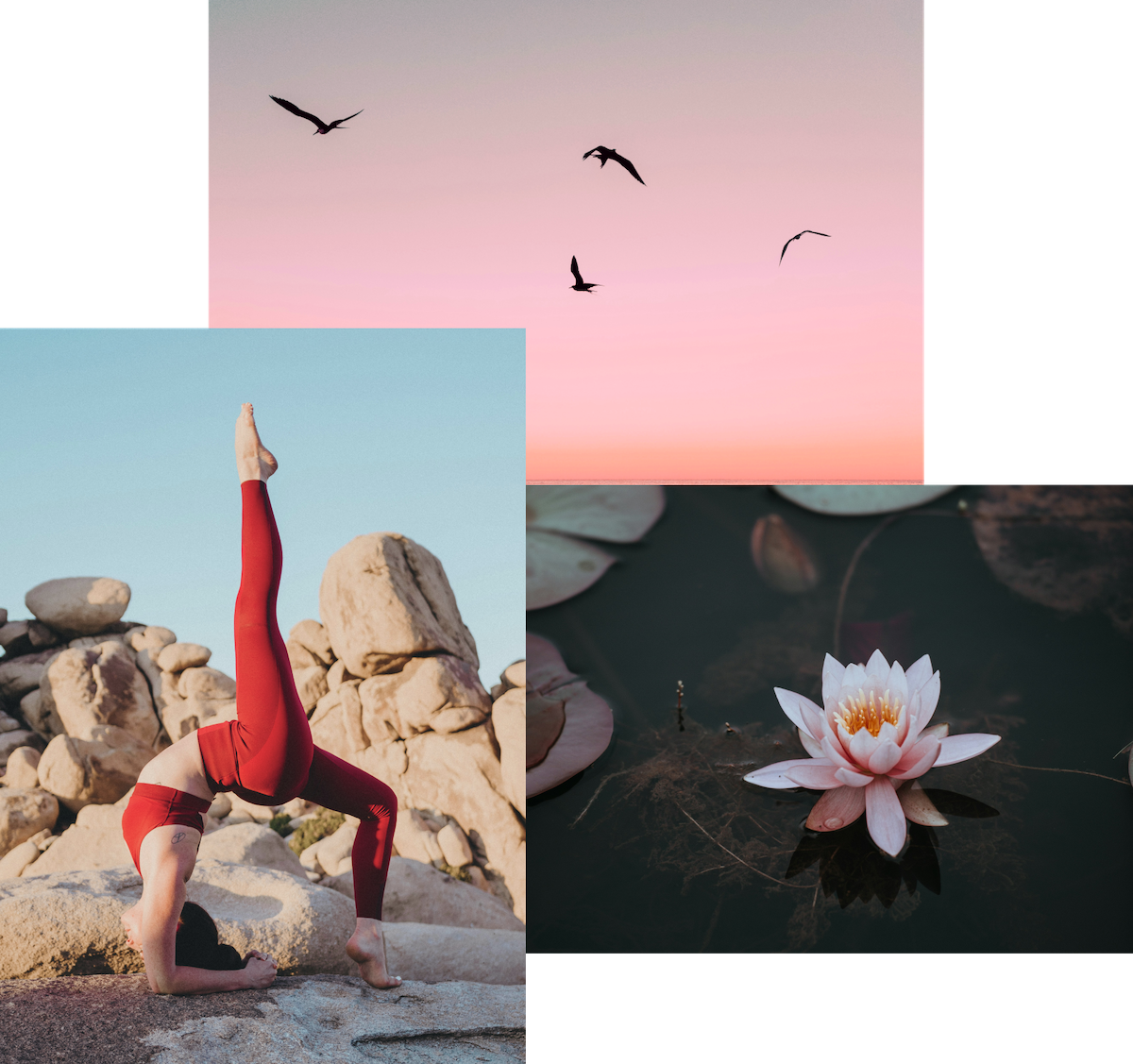 PulseFlow - the all-in-one fitness and mindfulness subscription that keeps you moving, breathing, and smiling—every single day. No boring routines.